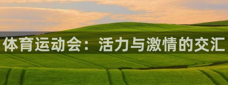 嗨王体育官网