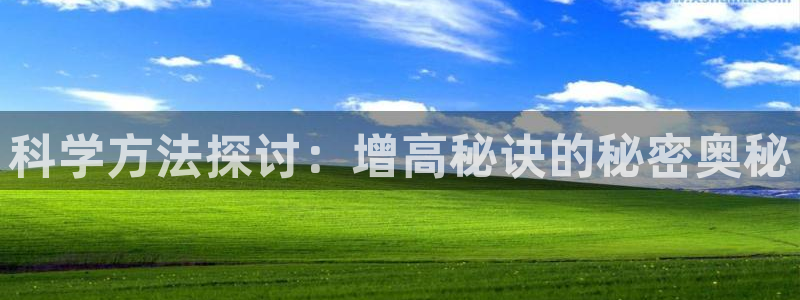 嗨王体育下载链接