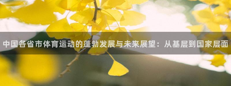 嗨王体育赛事在线直播免费观看高清
