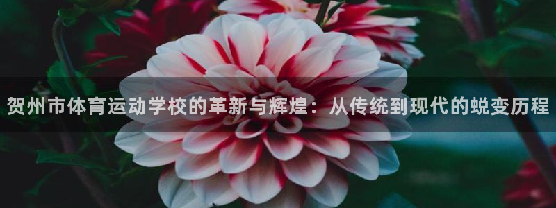嗨王体育下载链接