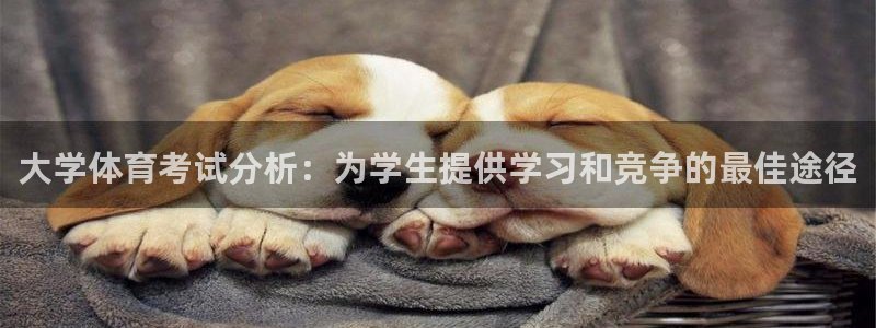 嗨王体育官方入口网站：大学体育考试分析：为学生提供学习和竞争的最佳途径