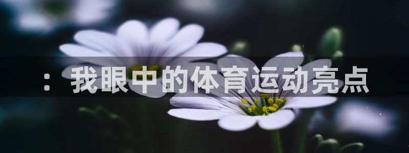 嗨王体育官方app下载：：我眼中的体育运动亮点