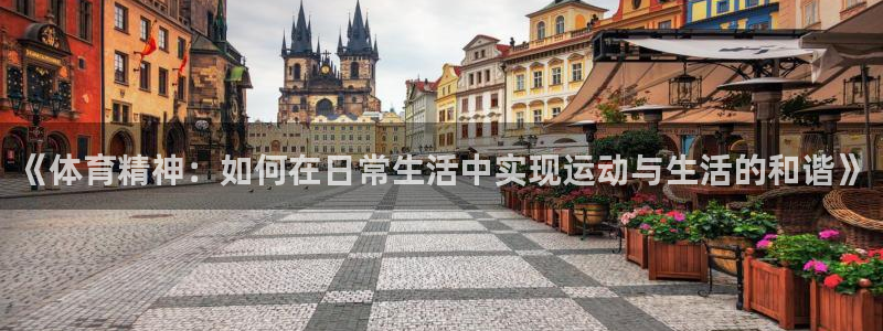 嗨王体育苹果手机如何下载：《体育精神：如何在日常生活中实现运动与生活的和谐》