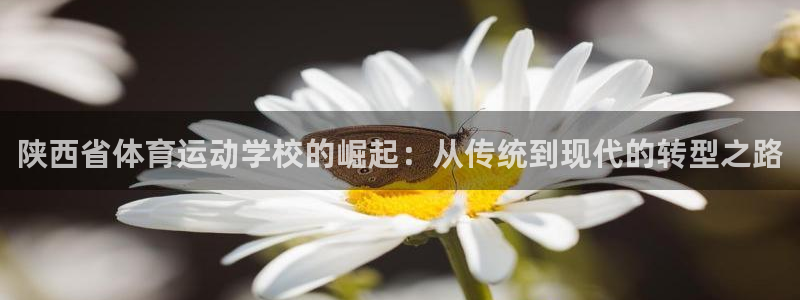 嗨王体育闪退