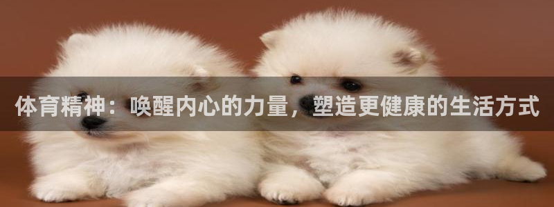 嗨王体育app官方网站